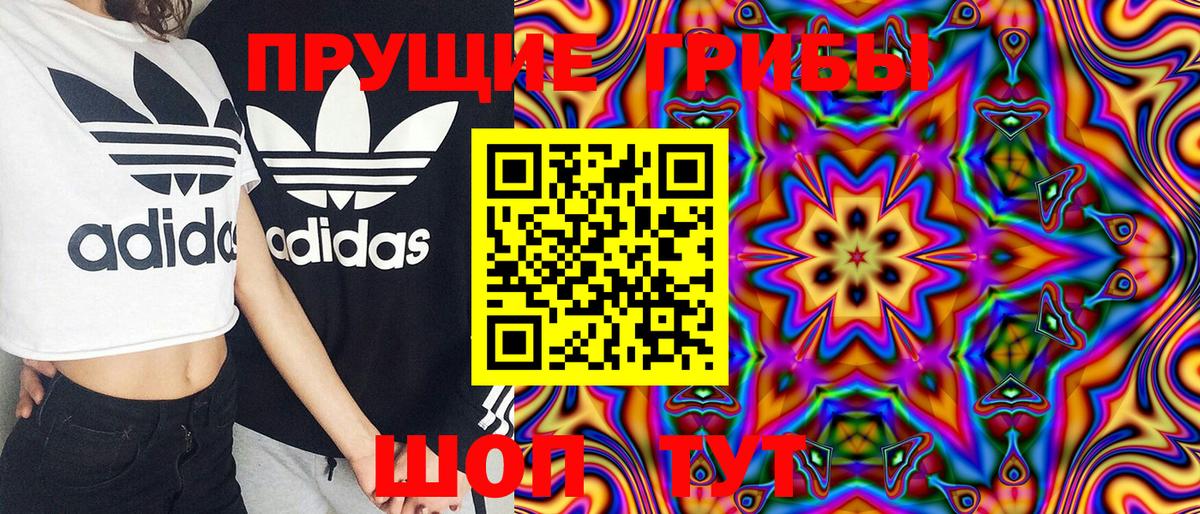 Галлюциногенные грибы MAGIC MUSHROOMS Казань