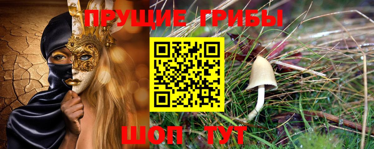 Казань  Псилоцибиновые грибы ЛСД  Вход с VPN  Псилоцибиновые грибы Magic Shrooms 